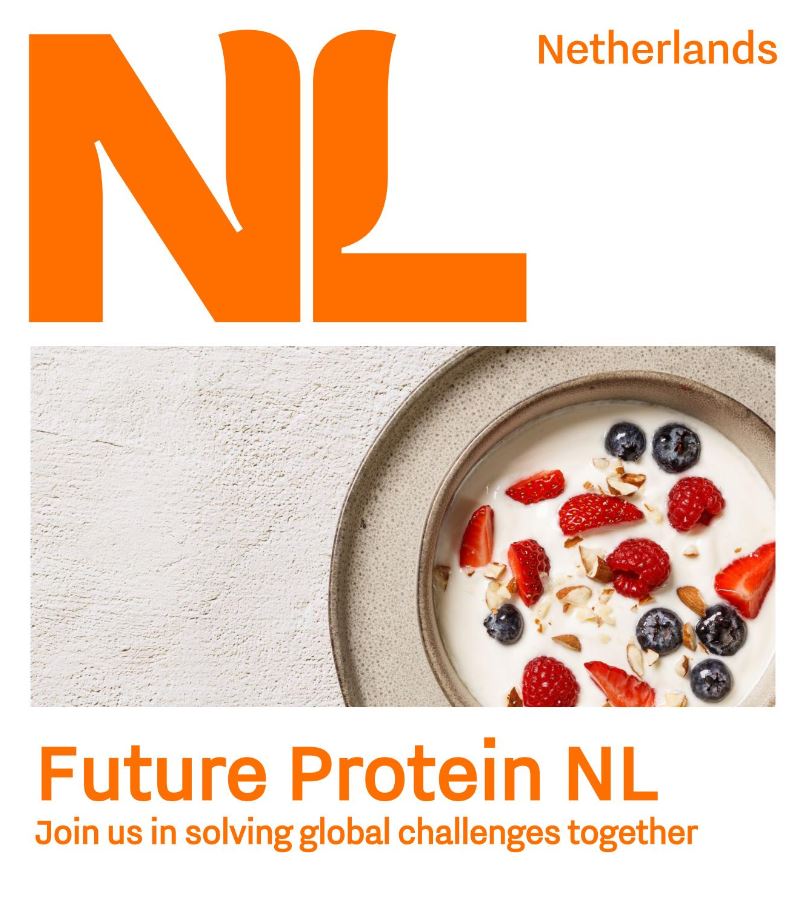 Rapport Future Protein NL