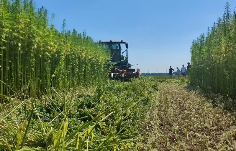 2024 - Brabantse telers biobased gewassen starten cooperatie